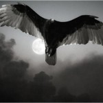“The world that awaits us, if our New Masters prevail, will be a grim dystopia. It will be a spiritual wasteland in which an unprincipled elite rides roughshod over the teeming masses. It will be a cruel world of exploitation, moral darkness, and unspeakable brutality.” — Lasha Darkmoon, America Vanquished