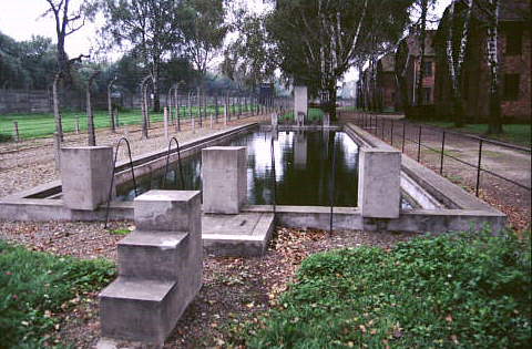auschwitz swimming pool