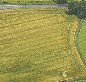Knoll Down: Approximately 3 hours later the formation is clearly visible in the bottom left of the feild. Click to enlarge