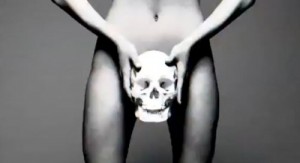 Skull on female genitilia