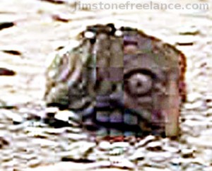 Head of a statue on Martian surface?