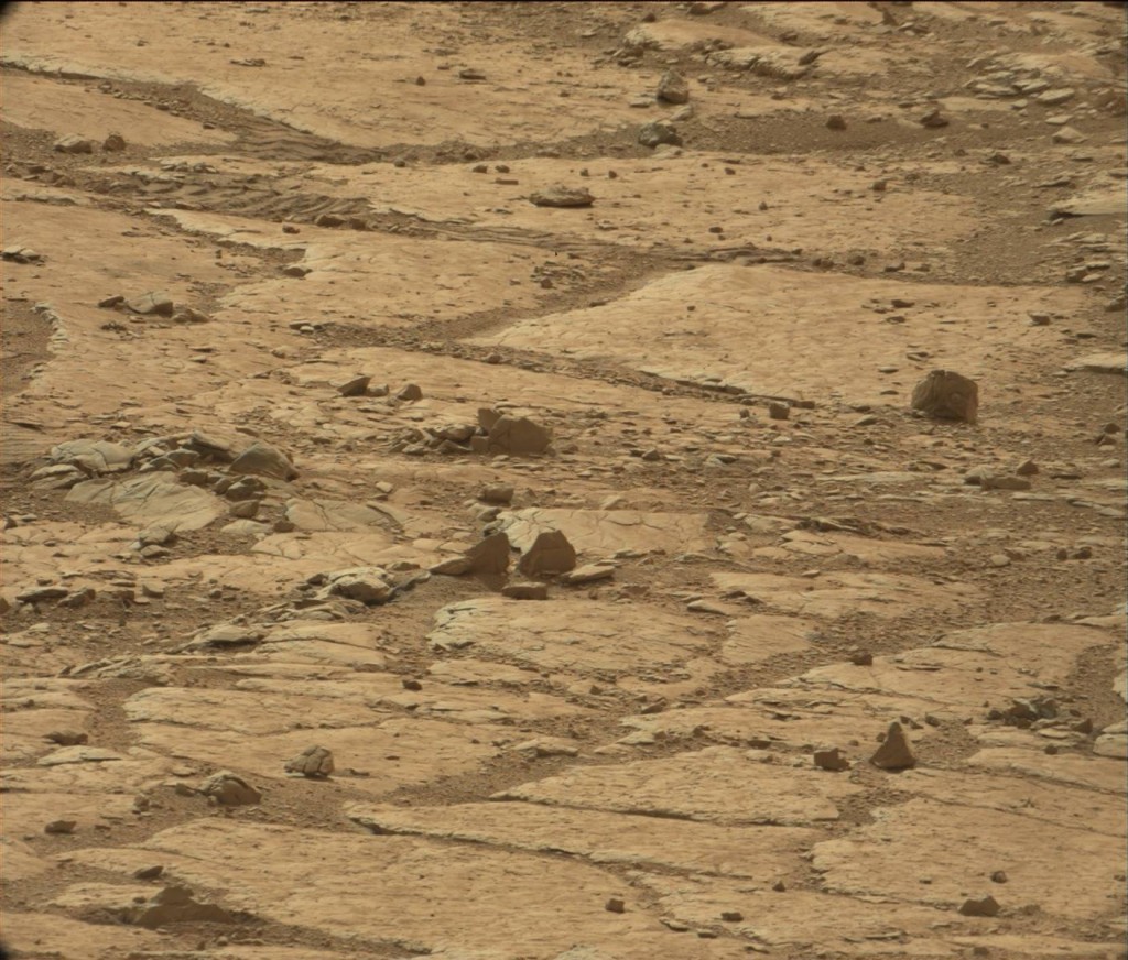 Martian suface. The statue-head-like anomaly appears midway down the right hand side. Click to enlarge