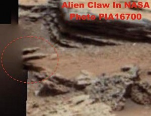 An alien claw? Click to enlarge