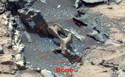 Images taken by NASA's Curiosity Rover. Are these bone fragments on the surface of Mars? Click to enlarge