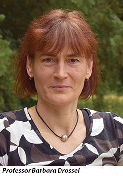 Professor Barbara Drossel