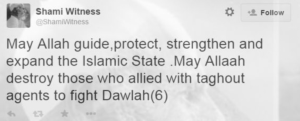 Shami Witness tweet1