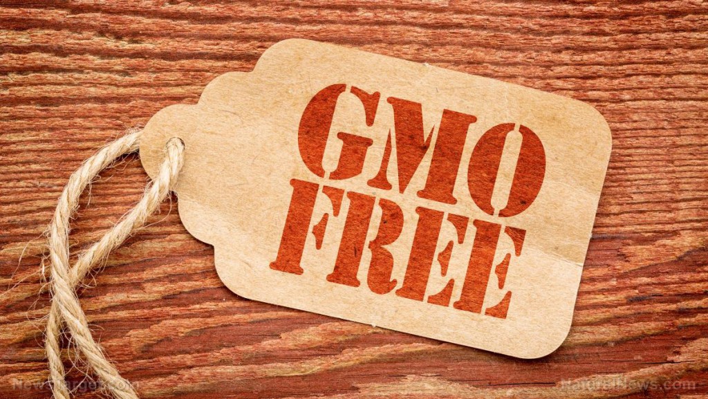 GMO-Free