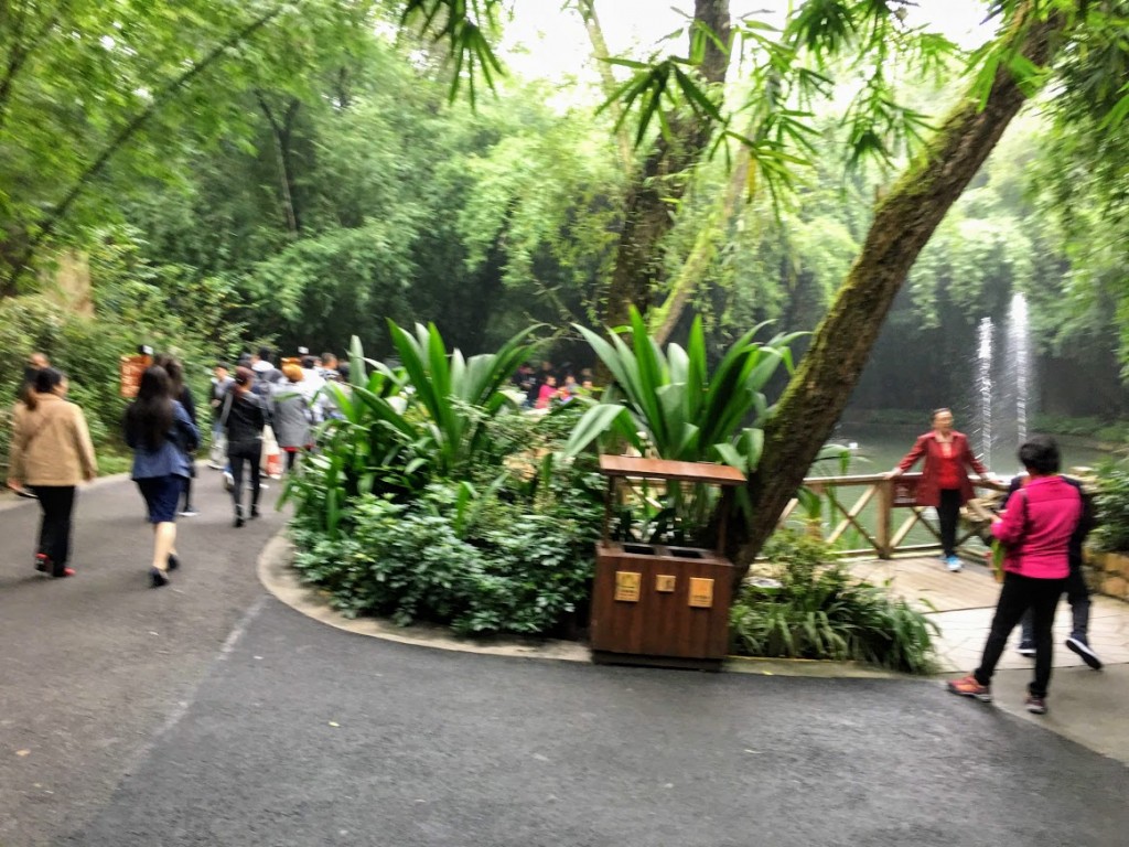 panda zoo