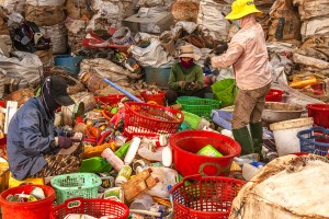 sorting plastic