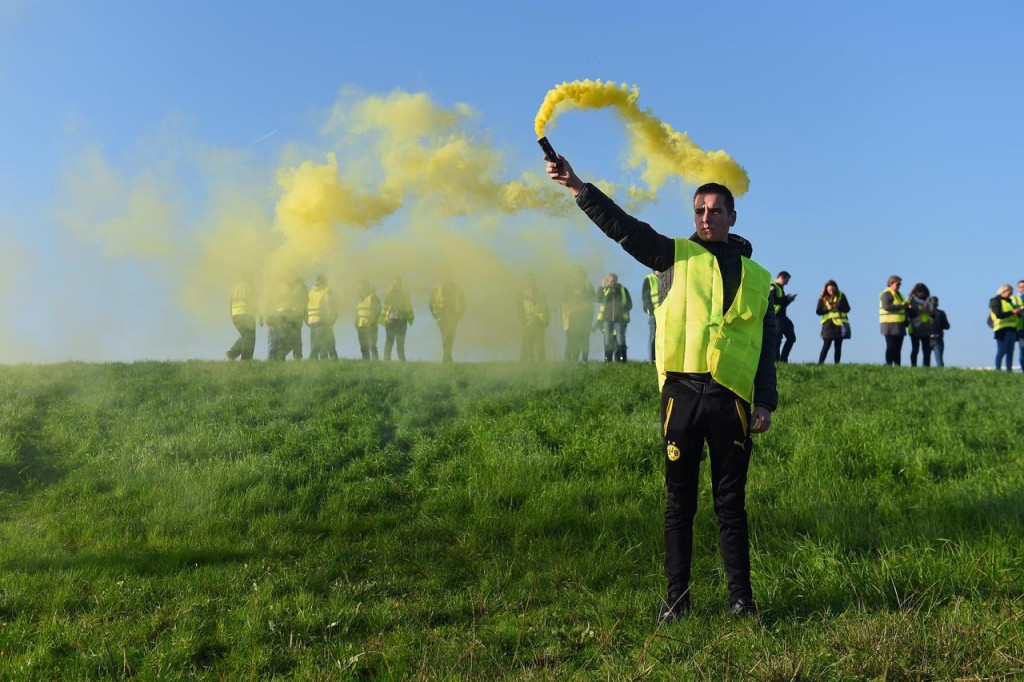 Yellow Jackets in rural France