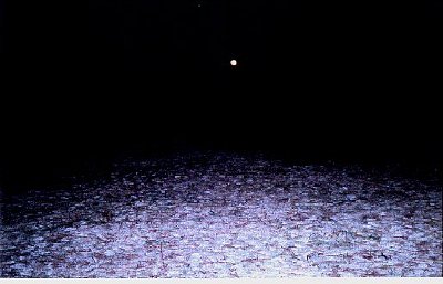 The light phenomenon witnessed by Charles and his wife