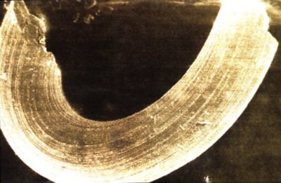 Nano-technology that predates modern advances by thousands of years?