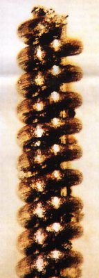 Ancient Nano-technology?